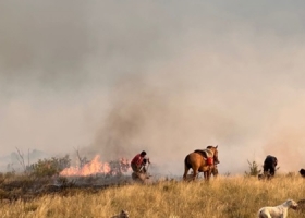 Lo que el fuego se llevó. El impacto productivo empieza a dimensionarse en el oeste pampeano, contado por quienes pelearon con pala en mano durante noches enteras