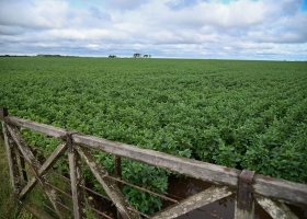 Un balance positivo del 2025 y un 2026 promisorio