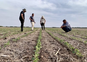 Empresas familiares rurales cómo hacer para trascender y no abandonar