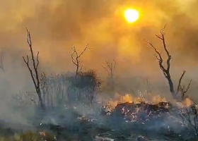 Incendios en La Pampa productores y entidades piden asistencia y el Banco Nación analiza ayuda crediticia
