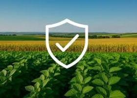 Córdoba pone en marcha un Seguro Multirriesgo Agrícola inédito a nivel nacional