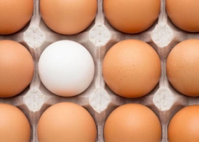 Un año récord terminó con una señal de alerta para el negocio del huevo