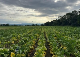 Fue como si se hubiese roto una represa el duro relato de un productor que salvó su vida por poco en una feroz tormenta en Salta