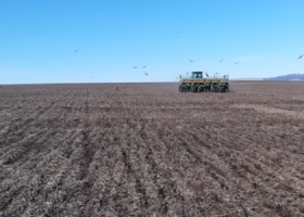 Coninagro actualizó su radiografía del agro. Más actividades en rojo y señales mixtas en la economía del sector