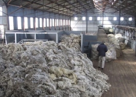 En la Patagonia, los productores ovinos apoyan la desregulación de las exportaciones