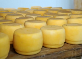 El curioso motivo por el que varios quesos tendrán que cambiar de nombre por el acuerdo Mercosur-Unión Europea