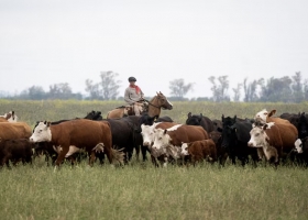 De la época de Onganía. El Gobierno modificó un reglamento del Senasa y derogó normas de hace casi 60 años