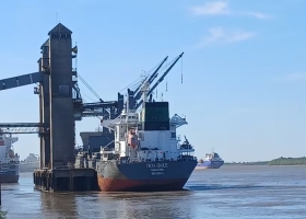 Dos productos del agro que exporta la Argentina están en niveles máximos a nivel internacional y se esperan más dólares