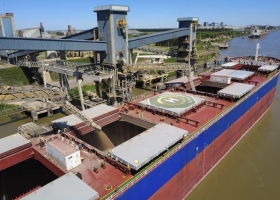 Soja en pausa y trigo en auge: dos cultivos con realidades opuestas