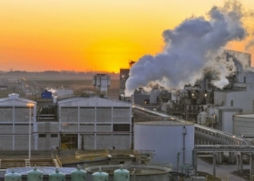 La relevancia de la industria aceitera argentina como formadora del precio de la soja sigue vigente a pesar de la caída del nivel de actividad