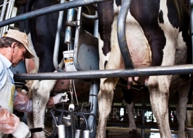 Quebranto crujen los números de una actividad de fuerte arraigo en todo el interior