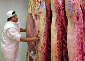 US$800 millones el pacto con Estados Unidos amplió la cuota para la carne y la Argentina se prepara para exportar más