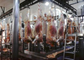 Carnes: el 2026 arranca con mercados renovados