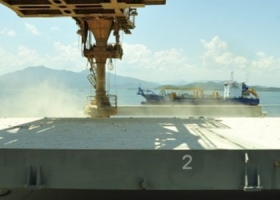 Zafamos. Menos mal que la Argentina no compite con Brasil en el negocio de poroto de soja