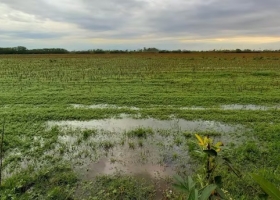 Lluvias que cambian el escenario en la región núcleo alivio hídrico para la soja, pero tormentas severas dejan daños en 400.000 hectáreas