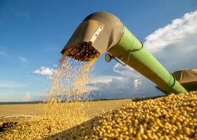 Dólares febrero podría terminar con una importante merma en la liquidación de divisas