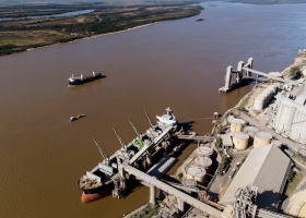 Desplome en febrero cayó un 30% la liquidación de divisas de la agroexportación