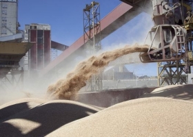 Uno de cada cuatro dólares que exporta la Argentina sale de la soja Según INDEC, el agro volvió a dominar el mapa exportador