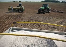 La guerra ya golpea a los fertilizantes la urea subió hasta un 20% y el mercado quedó en pausa