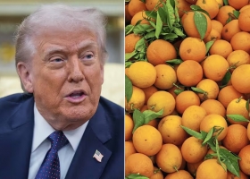 Exportarían 20.000 toneladas aceleran gestiones para que Estados Unidos abra su mercado a los cítricos dulces