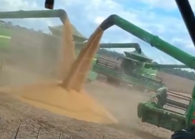 Una vergüenza la cosecha récord de soja en Brasil desbordó la logística y generó filas de camiones de hasta 30 kilómetros