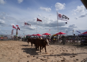 La raza Braford inició sus actividades en Expoagro con una charla sobre patrón racial y sanidad