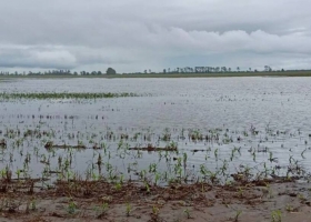 Temen más lluvias el agua en Tucumán golpeó con todo en la infraestructura rural
