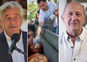 Cambios en la vacuna contra la aftosa el campo se divide por una medida del Gobierno que promete bajar costos