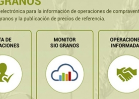 Luego de un desperfecto comenzó a funcionar nuevamente la plataforma Sio Granos, pero siguen trabajando para restablecer el Monitor