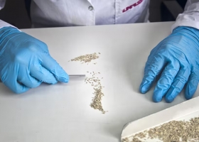 Motosierra el Gobierno avanzó en un organismo de semillas, eliminó direcciones y áreas claves