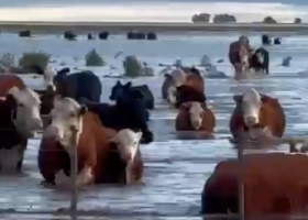 Asusta cayeron hasta 200 mm en seis horas, una región bonaerense colapsó y temen otra supertormenta