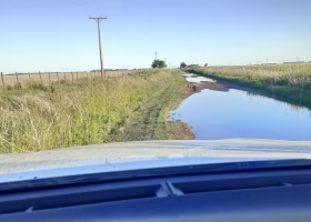 Fallo histórico ordenan a un municipio devolver plata a los productores por el cobro de una tasa