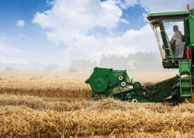 Primeros cálculos la próxima campaña de trigo se enfrenta a números al límite o en rojo El salto de los fertilizantes dejó 