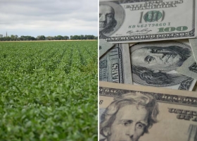 Regreso los inversores extranjeros vuelven a preguntar para comprar campos en el país