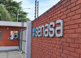 Exportaciones temen que se cierren mercados en ovinos y subproductos cárnicos por una enfermedad que investiga el Senasa