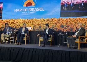 Nadie podía pensar hace 5 años las grandes empresas ven una oportunidad mundial inédita con el girasol