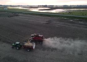 Clima, costos y promesas a muy largo plazo