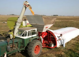 La caja del agro qué volumen de granos sigue en manos de los productores