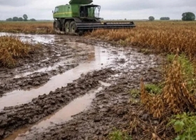 Las lluvias paralizan el campo en Santa Fe: cosechas frenadas y lotes anegados