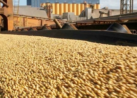 El Complejo Agroindustrial reporta exportaciones por USD 12.218 millones en el primer trimestre de 2026