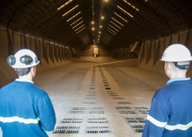 Preocupación por alertas de la Unión Europea detectó una soja argentina no aprobada en ese mercado