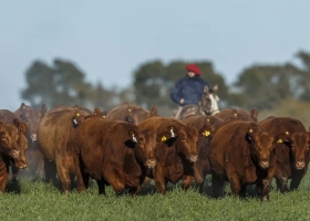 El RIMI, un alivio fiscal clave para el agro