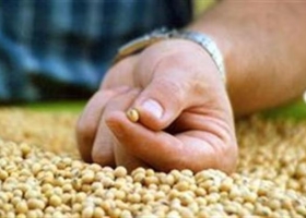 El Gobierno le presentó al campo un nuevo esquema para la fiscalización en semillas