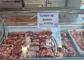 Operación internacional el Gobierno fustigó a un medio alemán que habló del consumo de carne de burro
