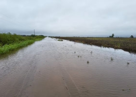 Nos barrió el campo desolación, miedo a perderlo todo y bronca de los productores en el norte de Santa Fe