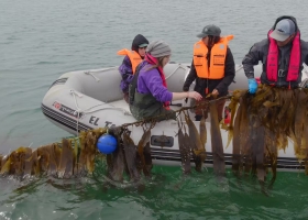 Siembran en el mar y con un producto aspiran a revolucionar la producción agrícola