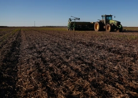 Trigo hay suficiente humedad para sembrar y precios razonables, pero los altos costos erosionan los márgenes netos