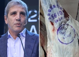 Más crecimiento para la Argentina. Caputo celebró el ingreso de US$1028 millones por las exportaciones de carne vacuna