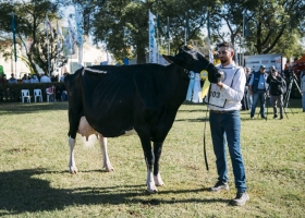 Una vaca de “La Lilia”, se consagró como Vaca Suprema en TodoLáctea