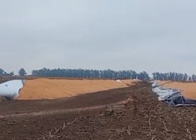 Quisieron hacer mucho daño atacaron un campo y rompieron 12 silobolsas con más de 2000 toneladas de granos